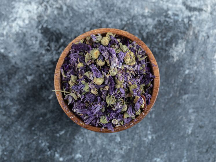 Иван-чай: природный эликсир здоровья