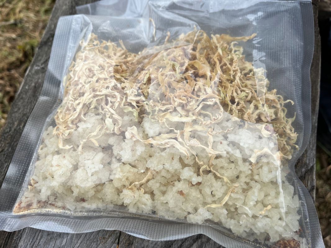 Ленивые голубцы: идеальное блюдо для дальних походов