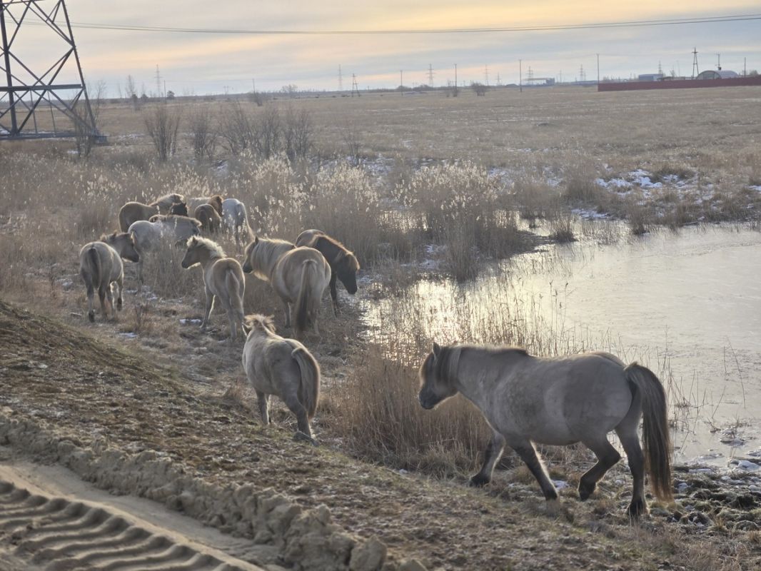 ���������� �� ����������: ������ ����� ����������� ���� ���������?