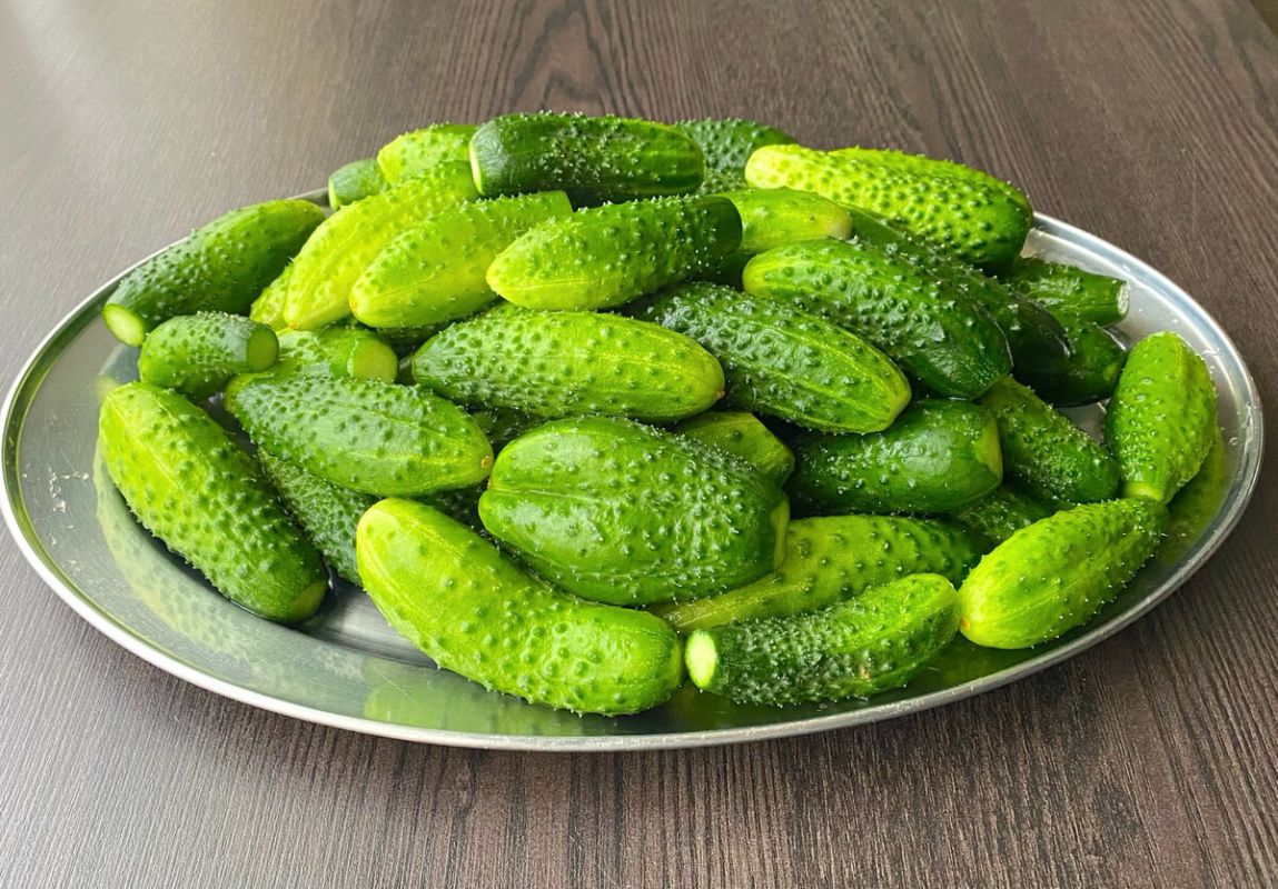 ������� ���������: 6 ������ �������� �� ������� �� ����