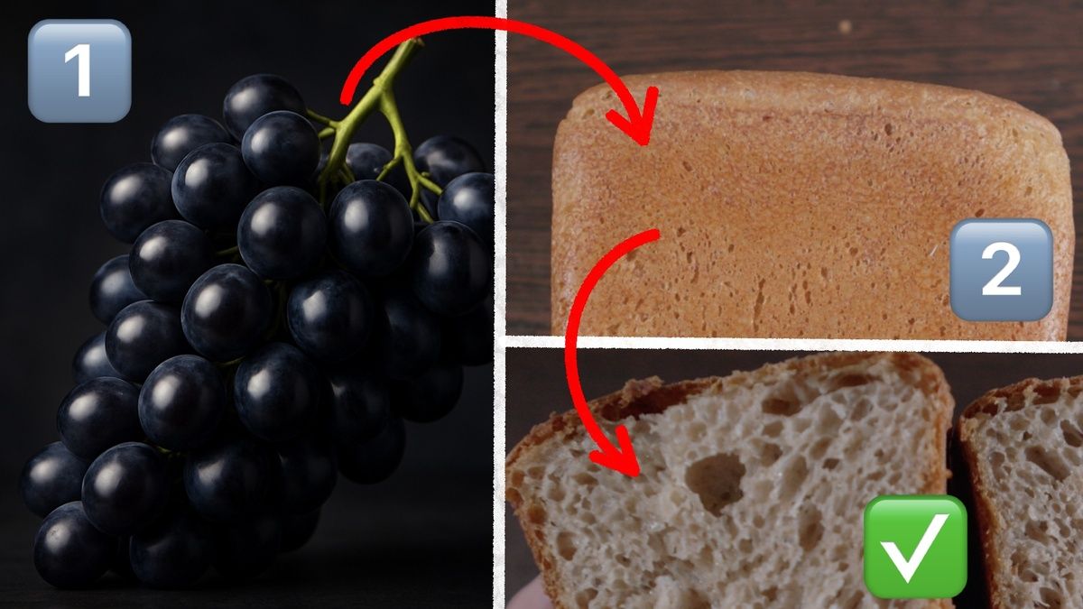 ����������� ����: �� ������ �� ��������� �����