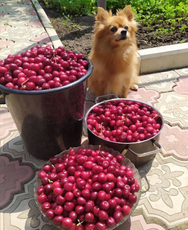 ������� ����: ��� ������� ���������� ������� ������ ����