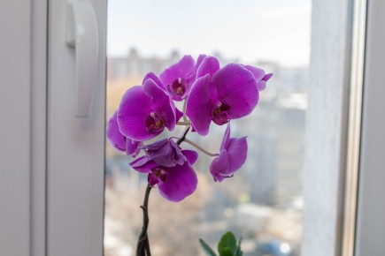 ������� ��������� �������� �������, � ������� ����� �����