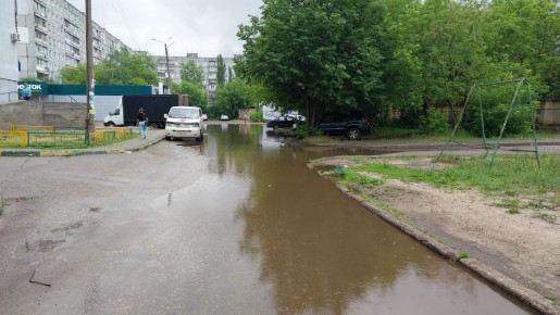 Середина июня: как дача стала местом для сбора урожая и вдохновения