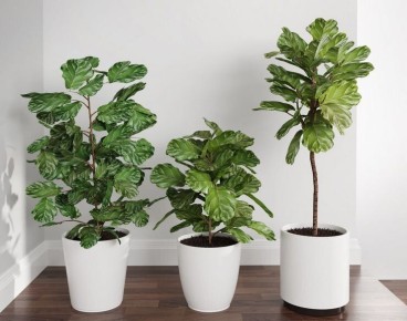 �������������� �������� ��������: ���� ����� ������������ ��������