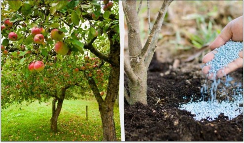 ��� ��������� �������������� ������ � ���� ��� ������������� ������