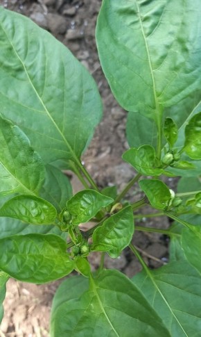 ��� ��������� ����������� ����� � 2025 ����: ������ ��� ��������� ������