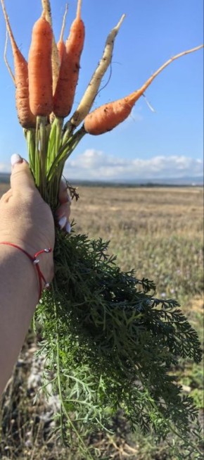 �������: ����������� �� ������ ��� � �������� ������������