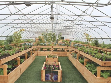 ��� ���������� ����������� ��������� ����� �������