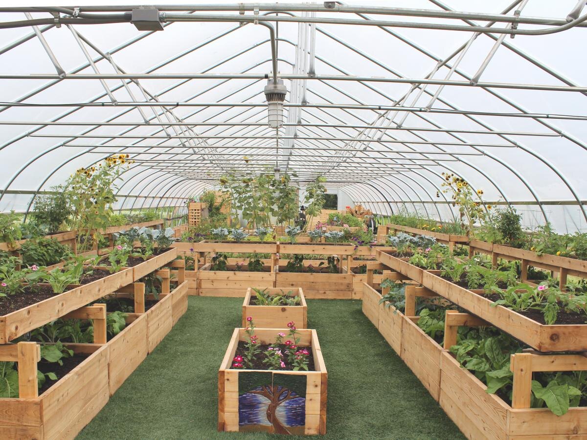 Как распознать бедственное положение ваших томатов