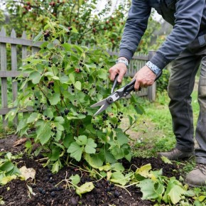 ������ � �������� ������: ��� ������ ������ ��������� �� ��� ���