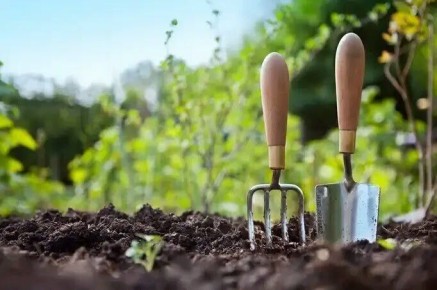 �������� �� ���� ������� ������� ��������� �����: ��� ����, ������� �� ��������