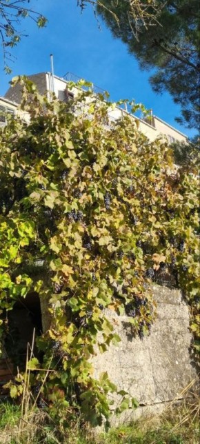 Смартфоны меняют привычки питания