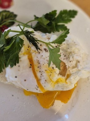 Идеальное яйцо пашот: секреты приготовления