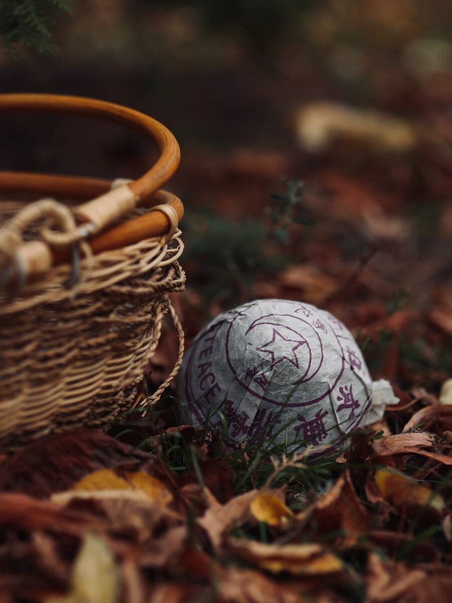 Время грибов: открываем секреты мусульманского гриба