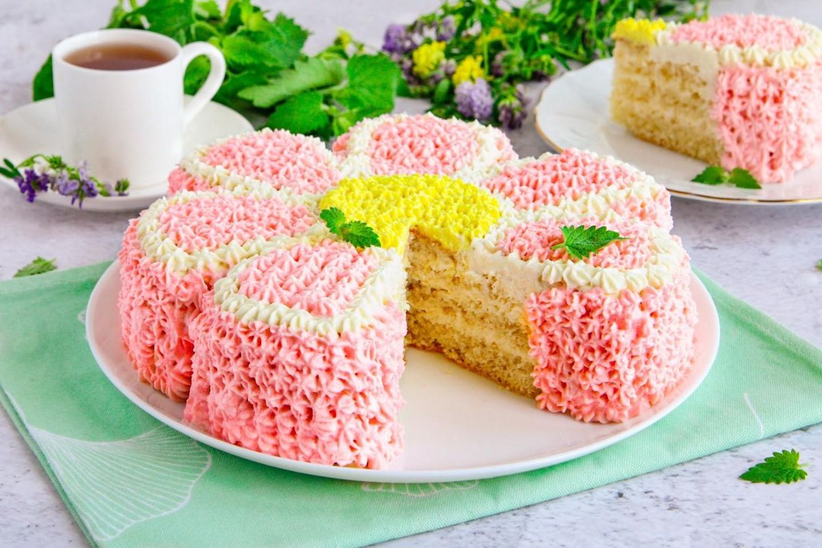 ���� �������: ������ ��������� ��� ������ ���������