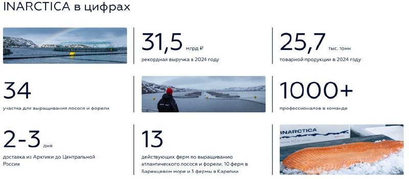 Инарктика: Кризис на фоне неурожая рыбы и новые вызовы отрасли