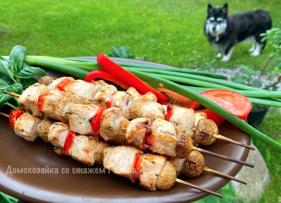 Сочный шашлык из куриной грудки: легкий и вкусный рецепт на лето