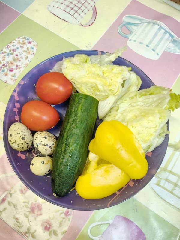 Завтрак с Марусей: Как сделать утро полезным и вкусным