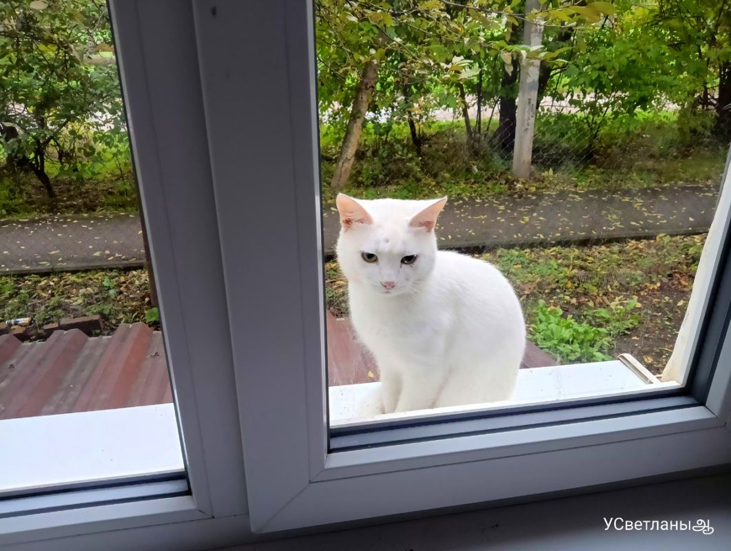 Картошка и яйца: экономный завтрак в дождливую погоду