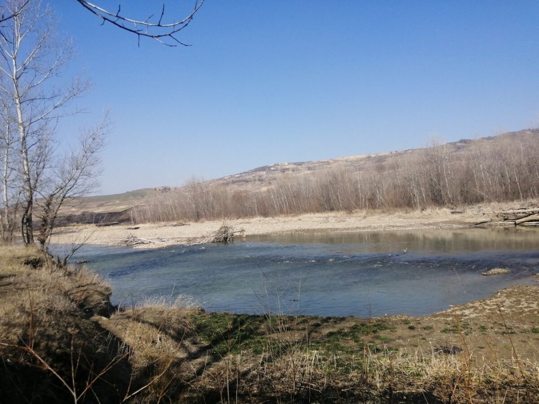 Как приготовить картошку на костре: ностальгия с ароматом детства