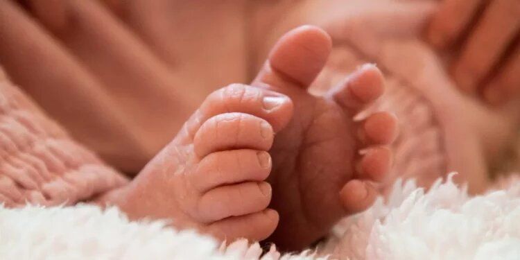 Nestle отзывает детские смеси: важно знать о риске отравления