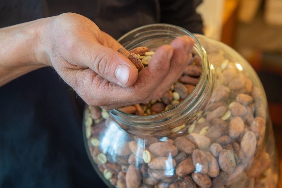 Ульяновск встречает партию какао-бобов и свежих овощей из зарубежья