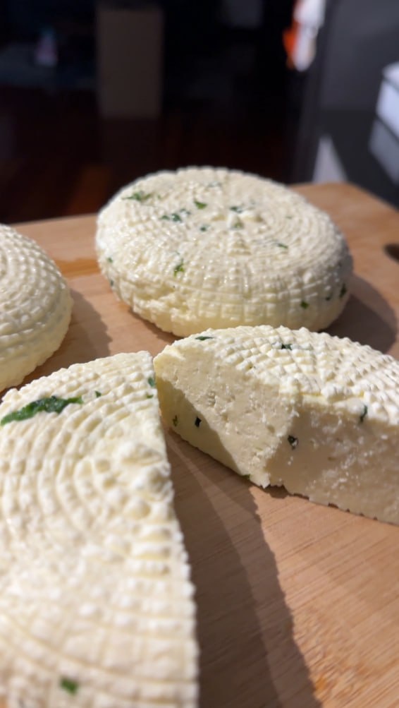 Секреты сыроделия: можно ли варить сыр из свежего молока?