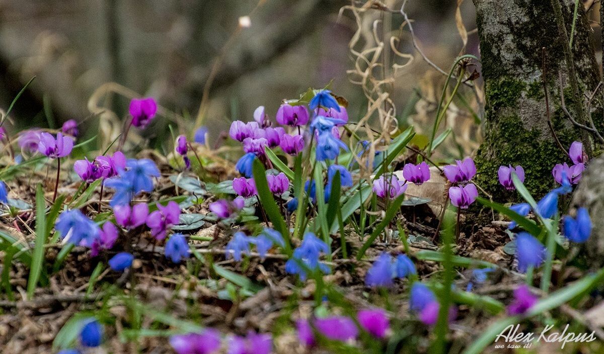 ��� ������ ��������� �����: �������� � ������ ����������