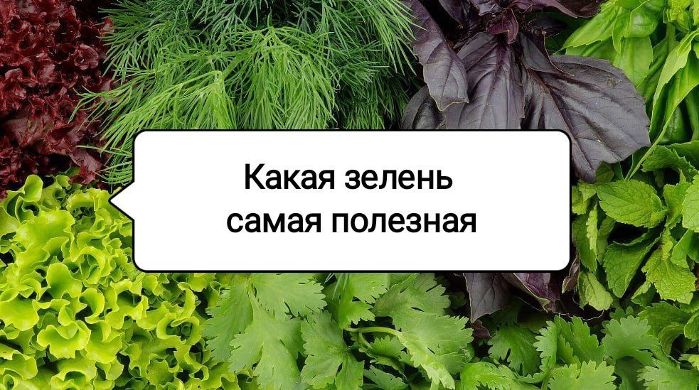 ���-5 ������ ��� ��������, ������� ����� ��������� � ������