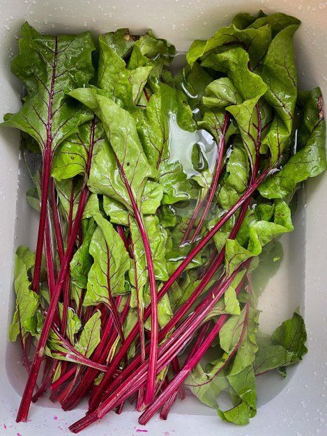 Свекла: Как ботва становится суперпродуктом на кухне