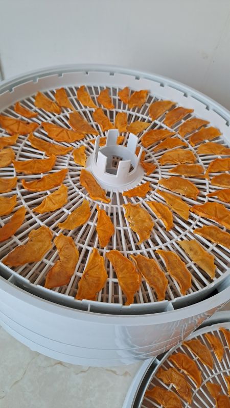 Как правильно сушить хурму в электросушилке: секреты и советы