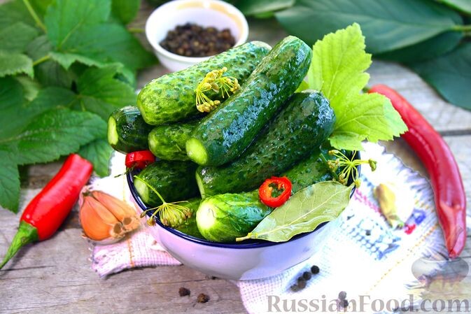 Похрустим: самые вкусные рецепты с огурцами на весну