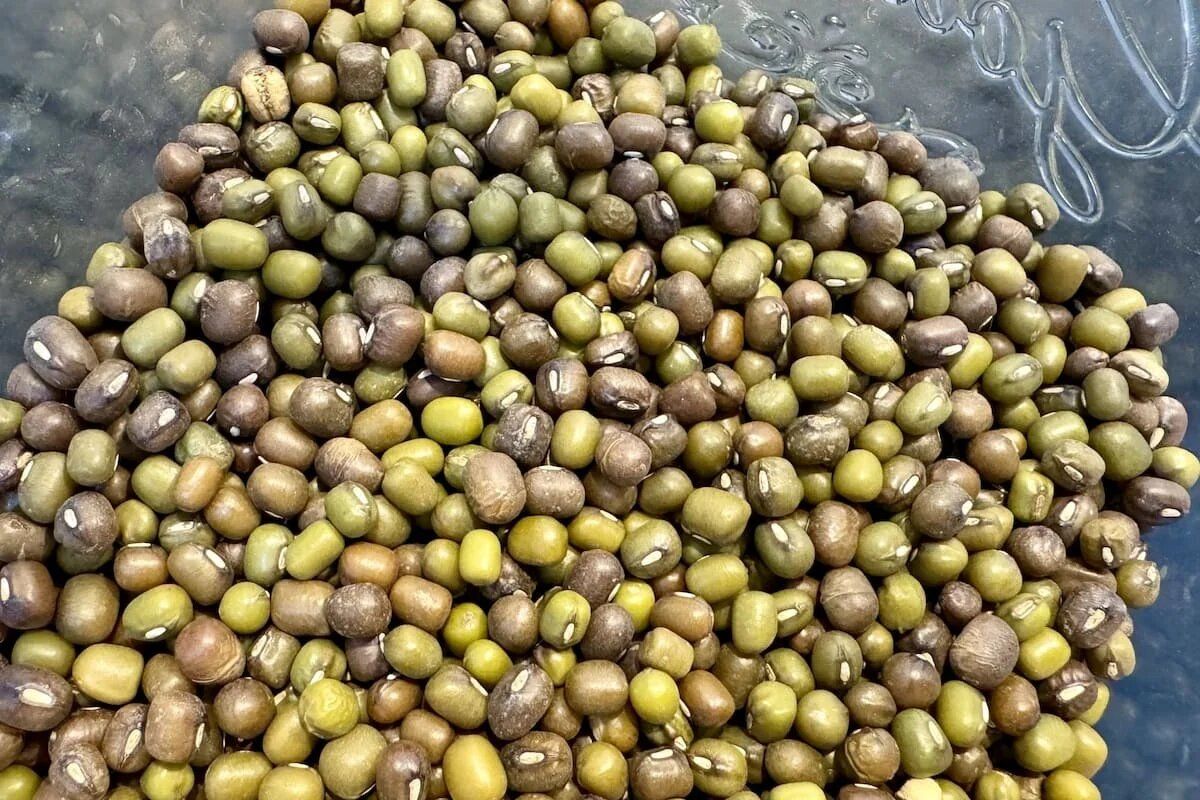 Питание и псориаз: как белки влияют на здоровье кожи