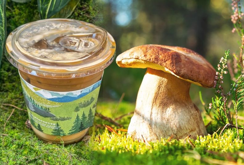 ���� � �������: ��� �������� ����� ������� �� �������