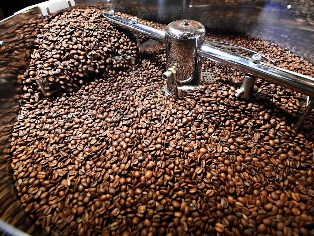 �������� ����� ������ ������� ����: ������� � ������� ��� ���������