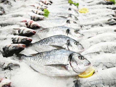 Минтай: доступный источник белка для россиян