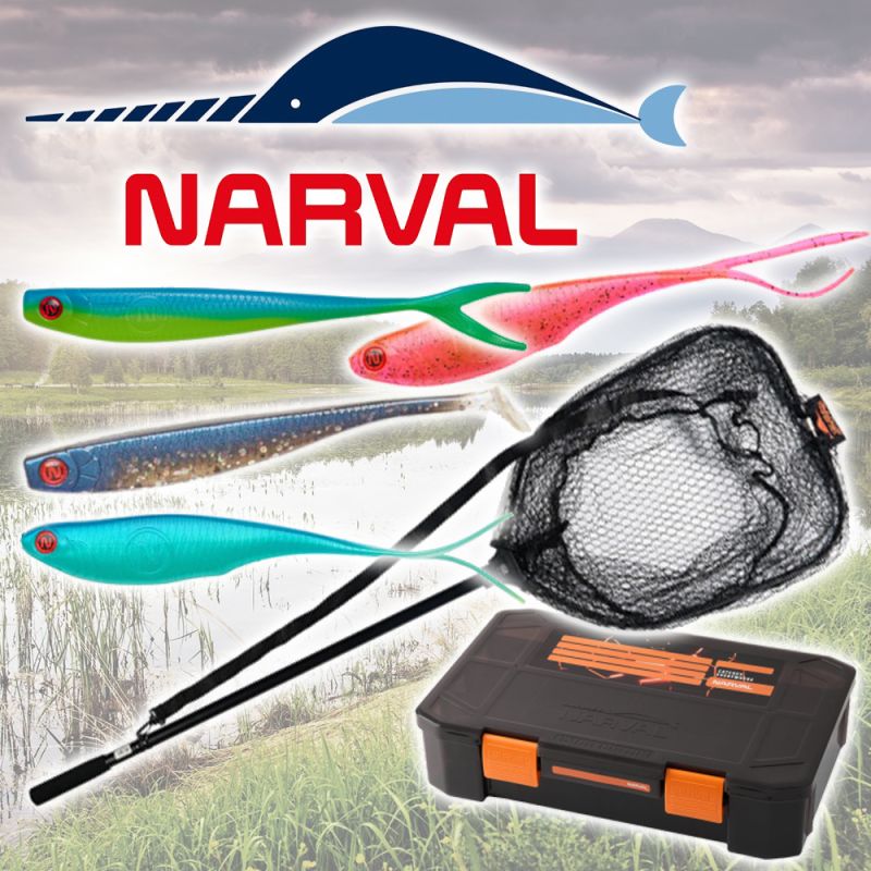 ����� ��������� ���������� � ����������� �������� �� Narval