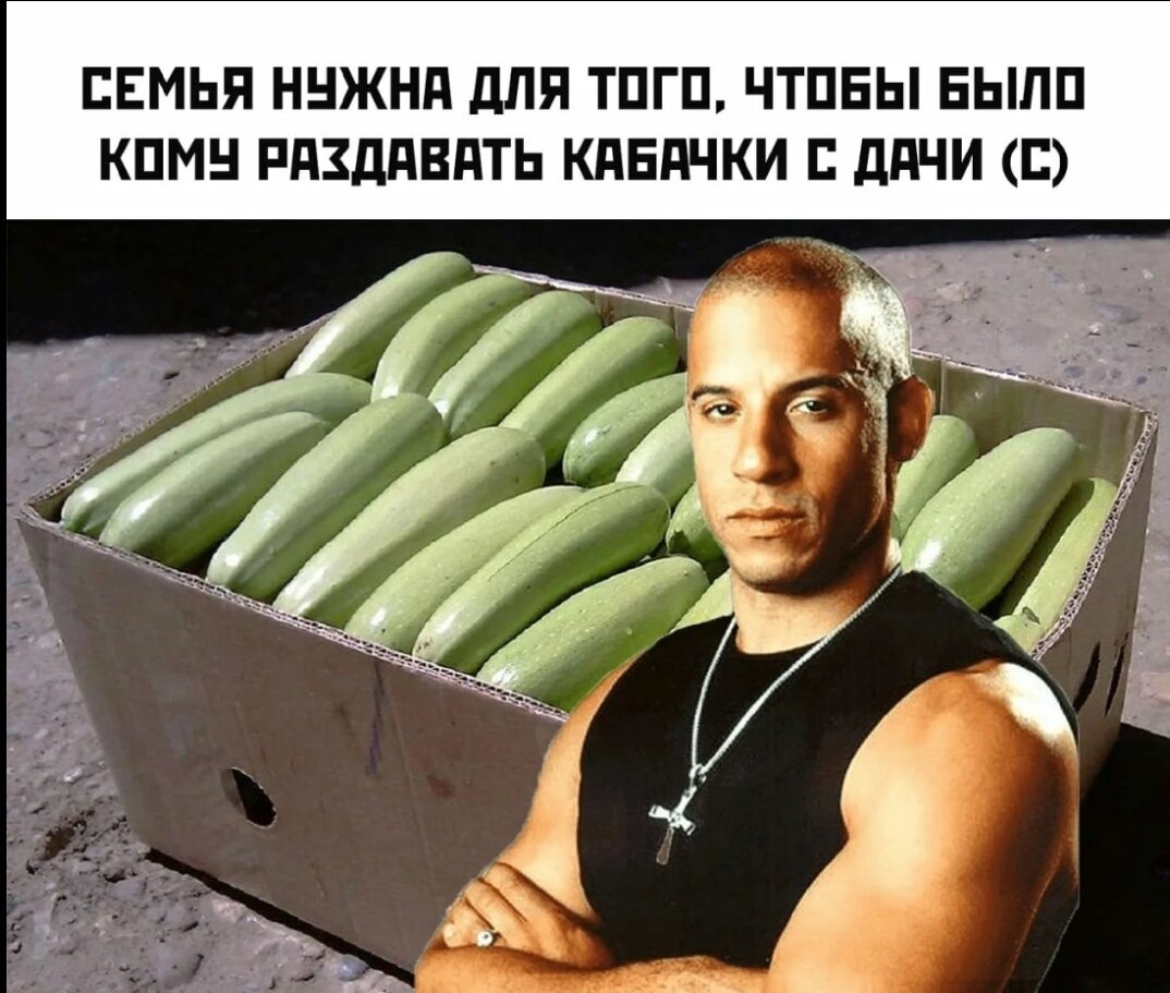 Как приготовить кабачки: простые рецепты, которые порадуют всех