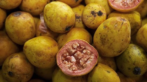 Фейхоа: секрет здорового питания от эксперта