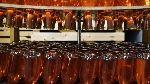 Сидр в России: рост производства и новые тренды