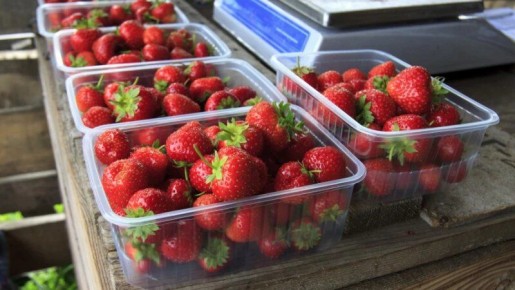 ��� ������� ������� �������� ������: ������ ���������