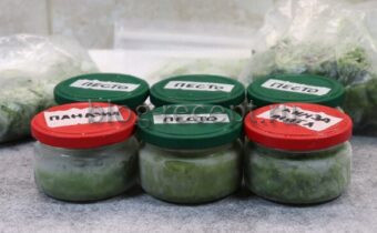 Новые идеи для заготовки зелени на зиму