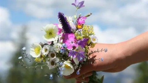 � ������� ���������: ��� ��������� ���������� �����