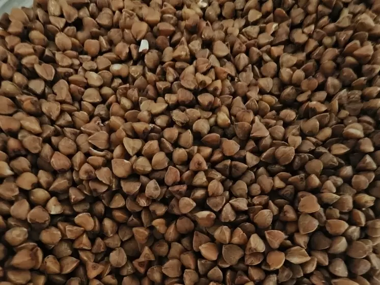 Незаконный ввоз: Вологодчину заполонили тонны гречки и овсянки