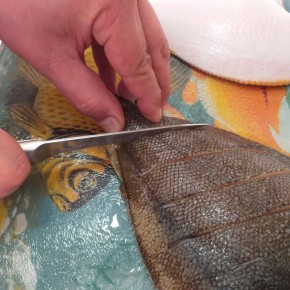 ���������� ������� � ��������: ������, ������ � ��� ����