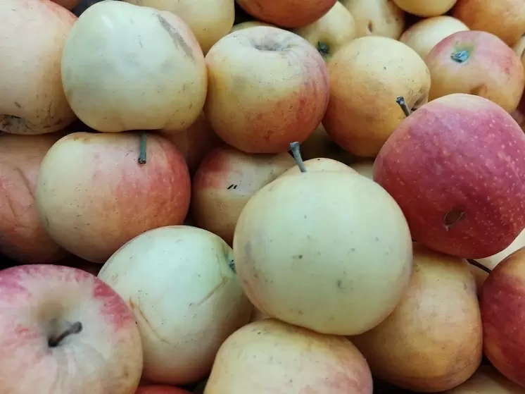 Как поддержать себя в зимний период: фрукты февраля