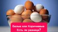 ���������� � ����� ����: ������� � ���� � �����