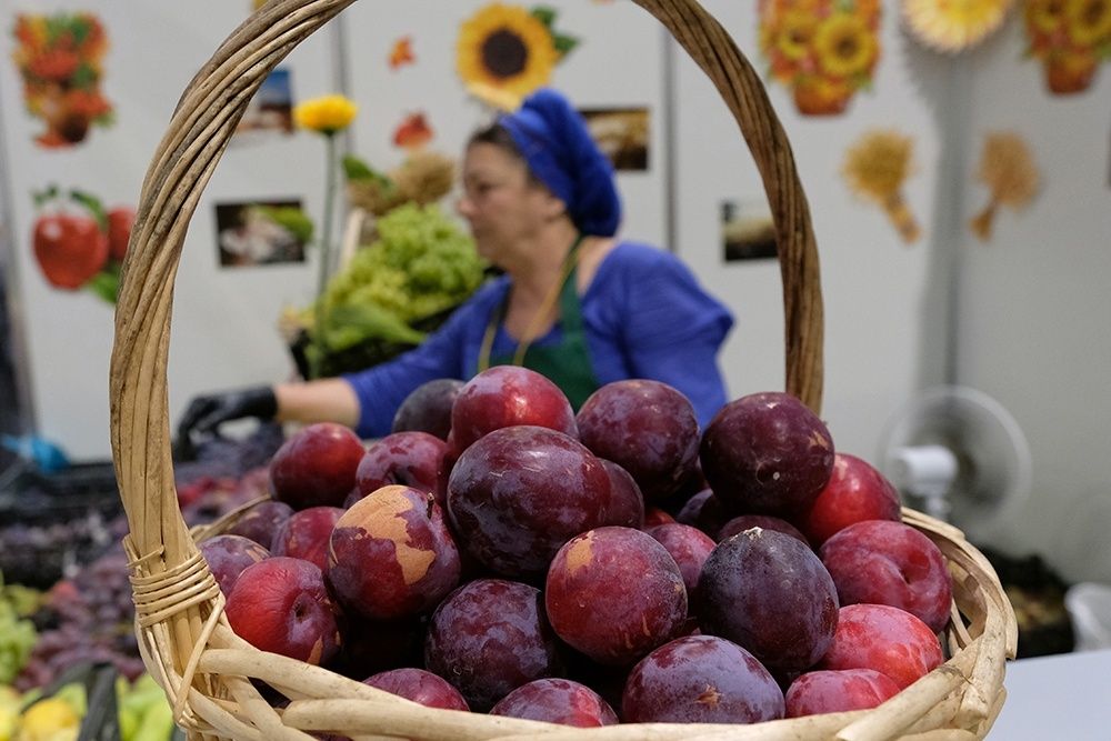 Новые тенденции в продуктовой корзине жителей Северного Кавказа