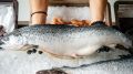 Экономия и вкус: как готовить рыбные котлеты из отходов